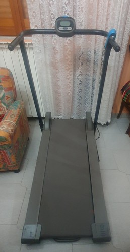 Tapirulan magnetico